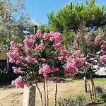 Camping Mobile - Camping Paradiso- Including Airco -zona Gialla 016