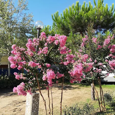 Κάμπινγκ Mobile - Camping Paradiso- Including Airco -zona Gialla 016