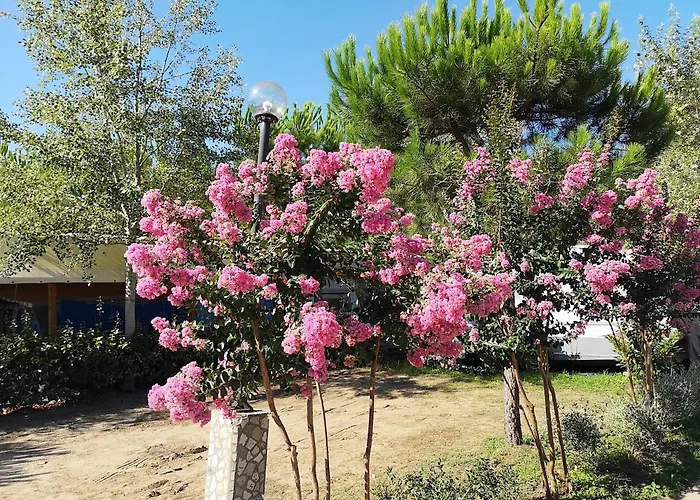 Camping Mobile - Camping Paradiso- Including Airco -zona Gialla 016